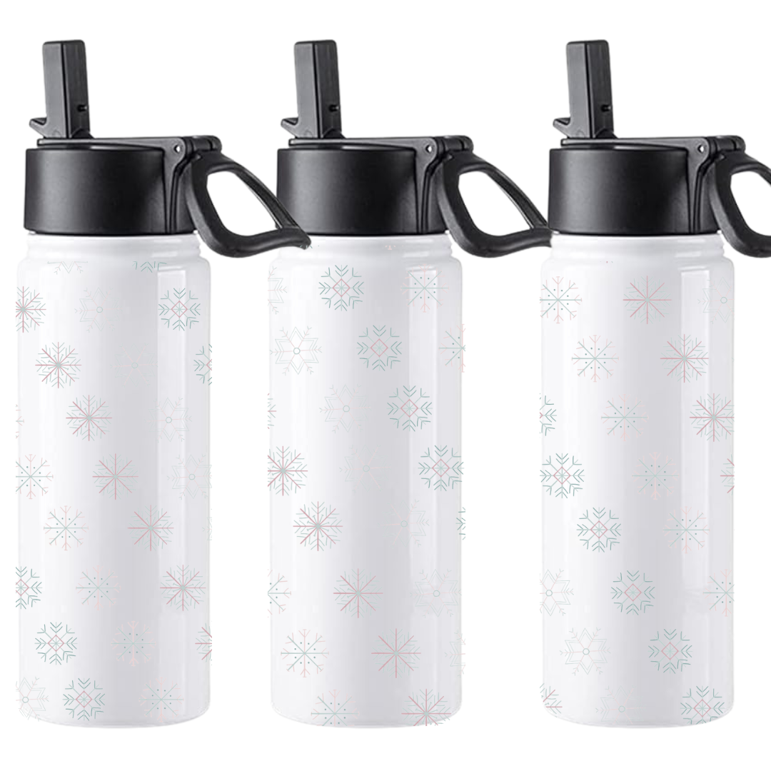 18oz Insulated Water Bottle with Straw Top