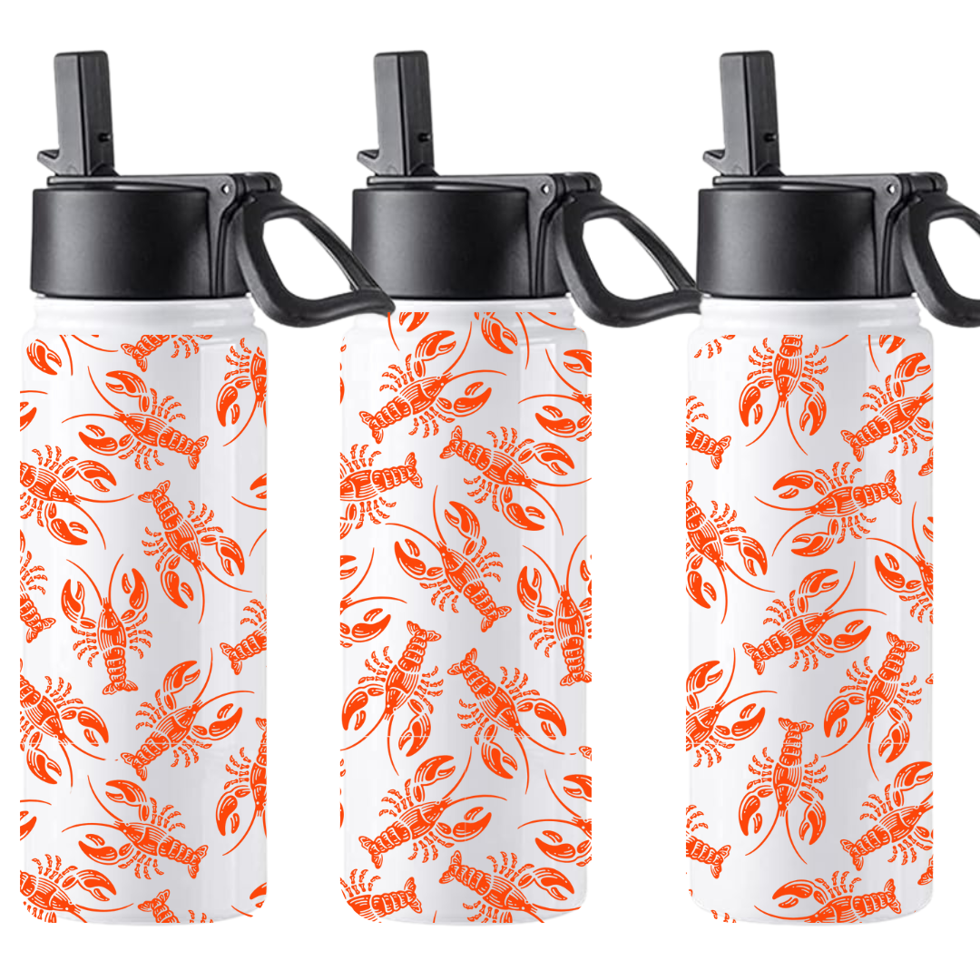 18oz Insulated Water Bottle with Straw Top