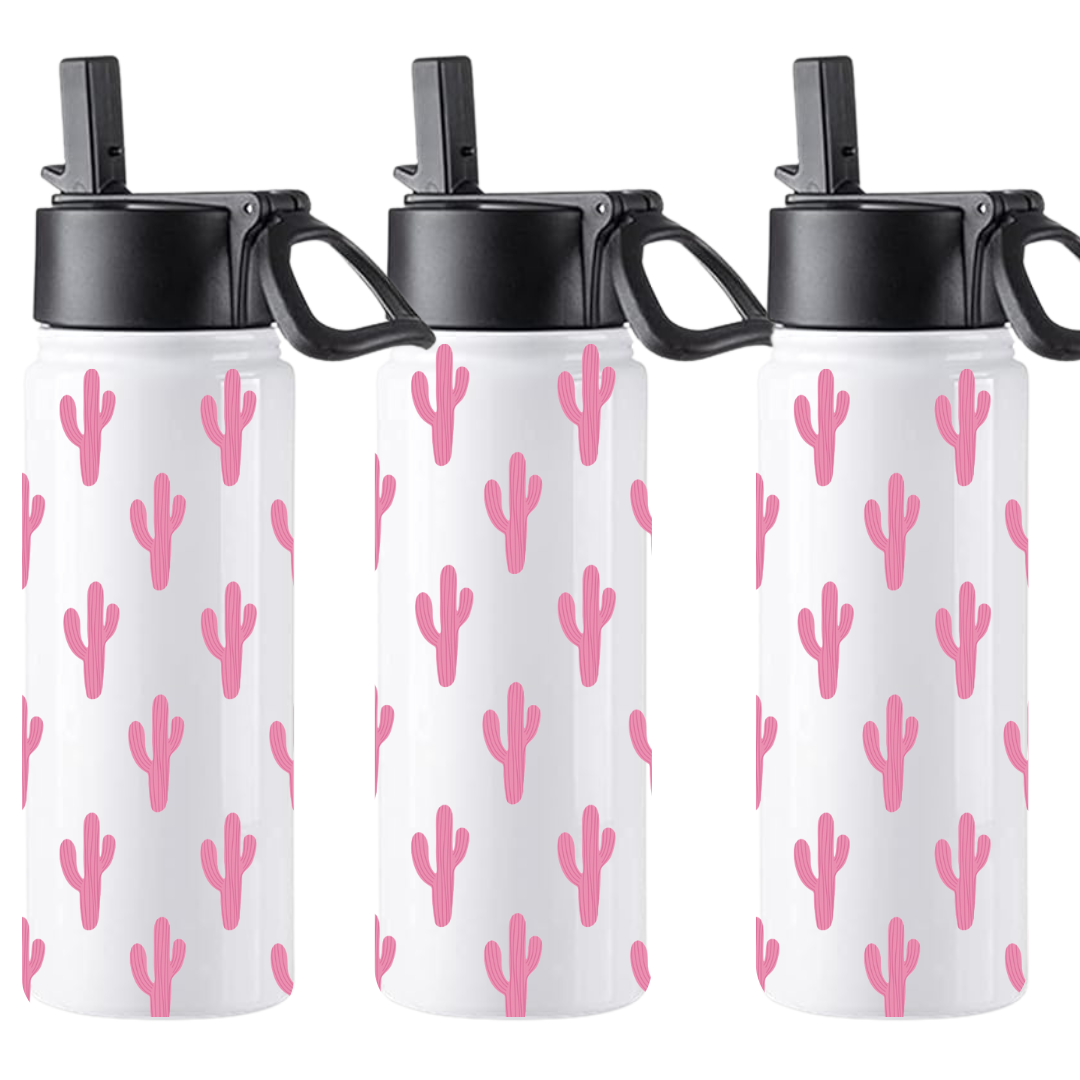 18oz Insulated Water Bottle with Straw Top