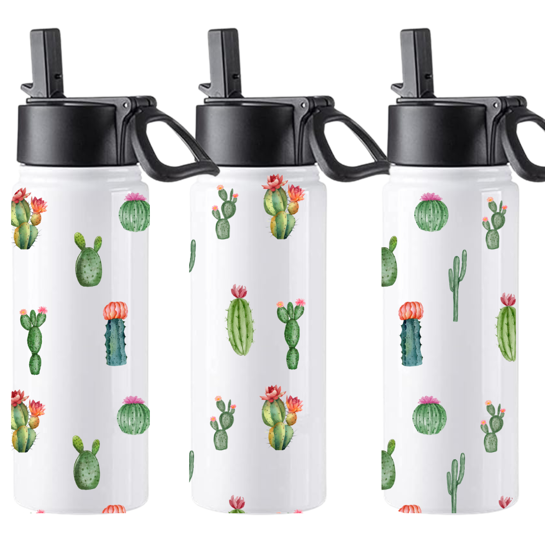 18oz Insulated Water Bottle with Straw Top